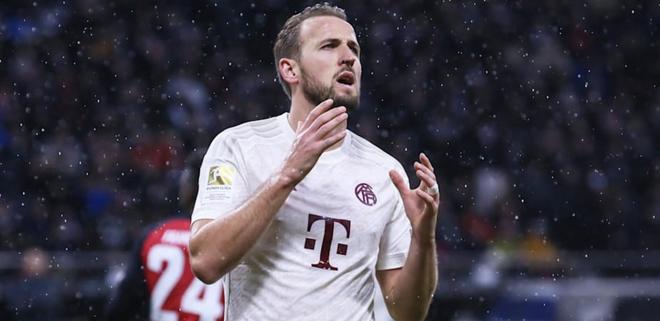 篮球CBA球队锁定季后赛席位，球迷沸腾