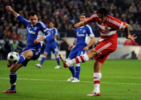 提供了充分 提供了充分