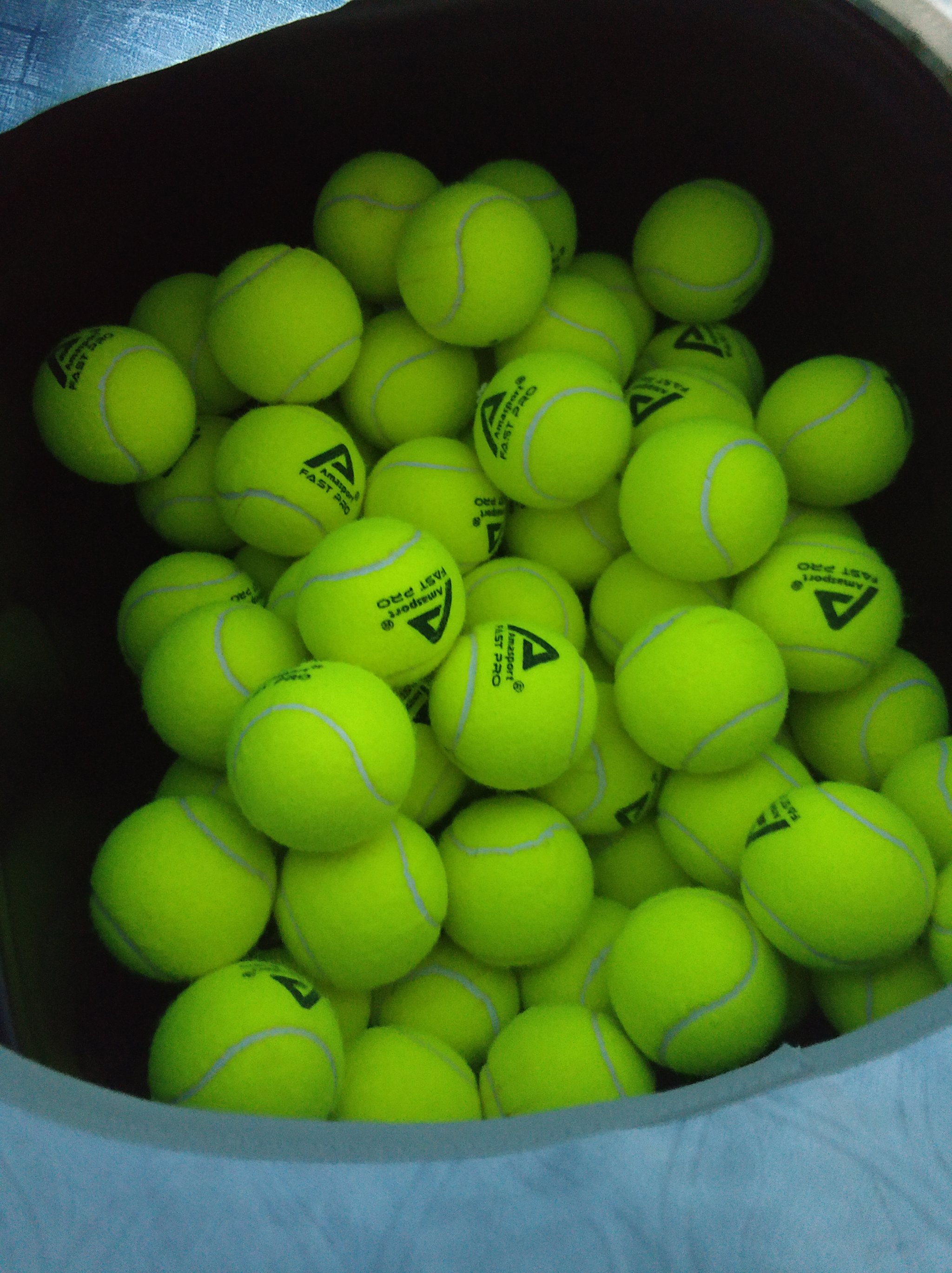 马队正在积 马队正在积